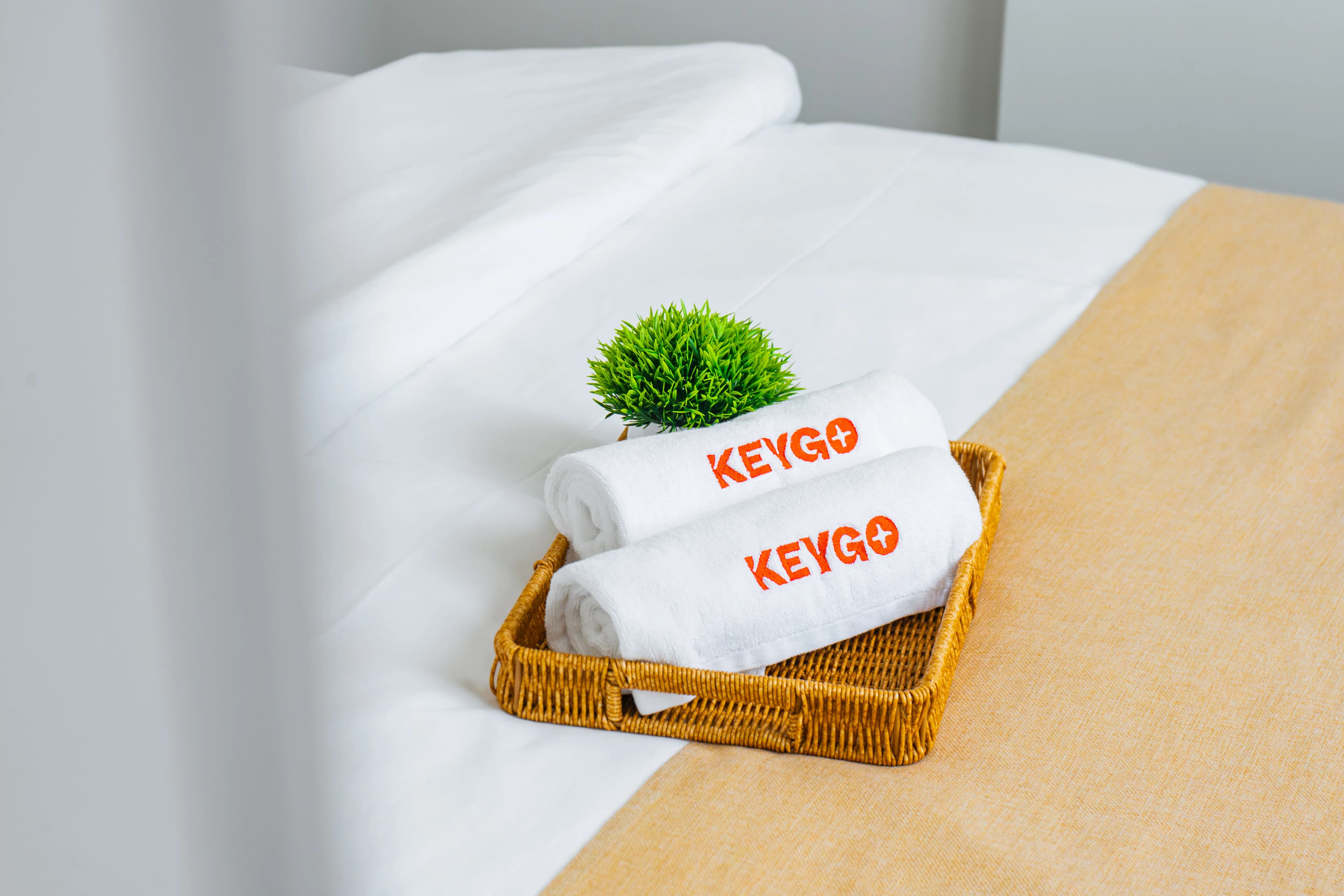 Apartment KeyGo #0087 key to the center of Yerevan photo 13