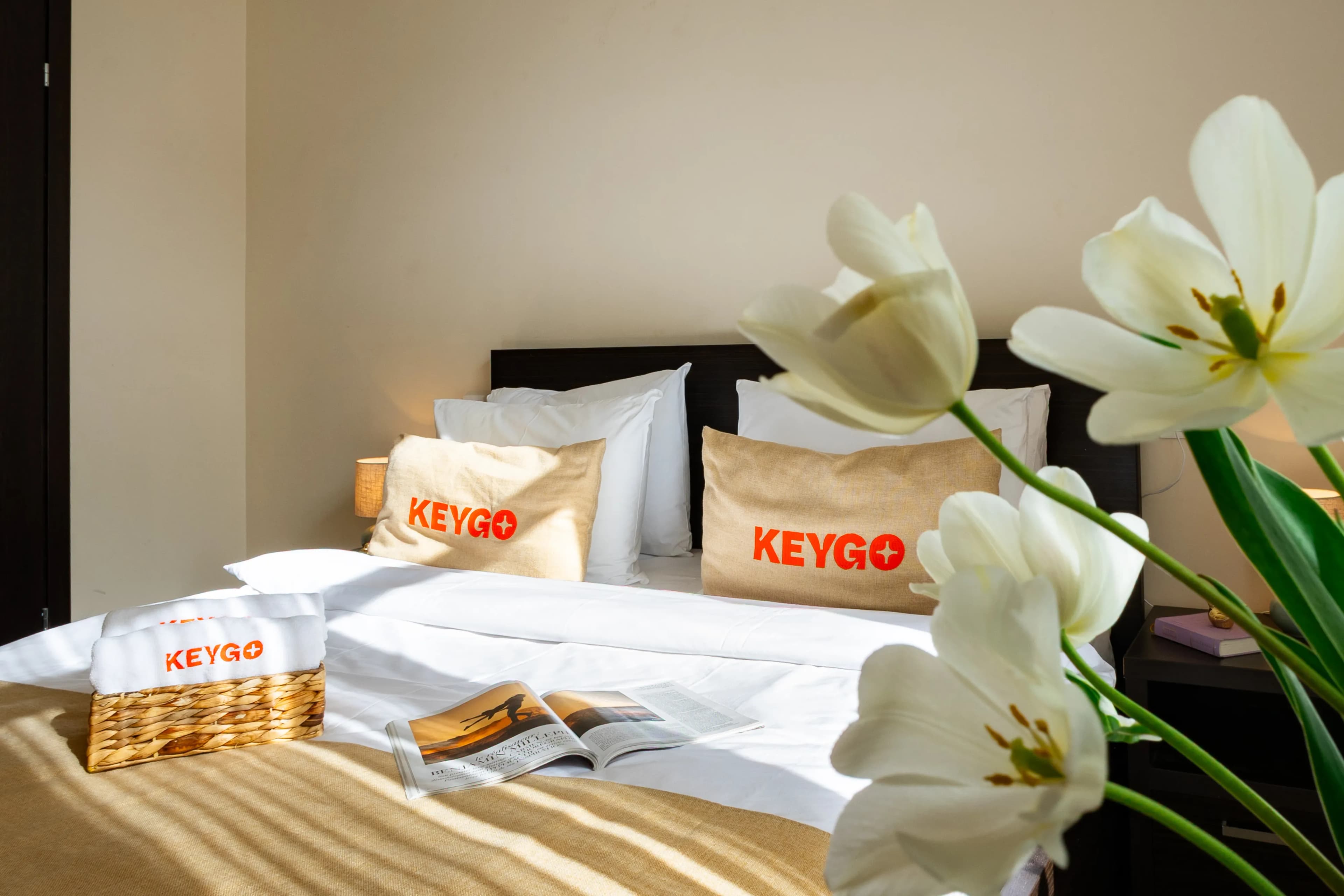 Apartment KeyGo #0043 offers comfort and coziness in the city